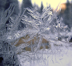 Snowflake Snowflake