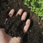 On Nourishment
