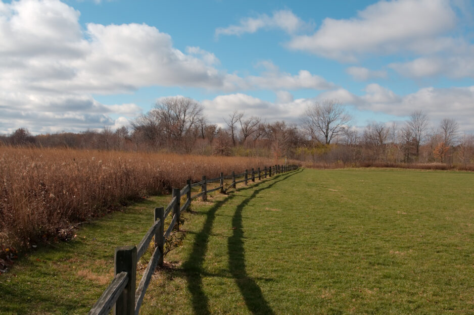 Park Fence Header Image